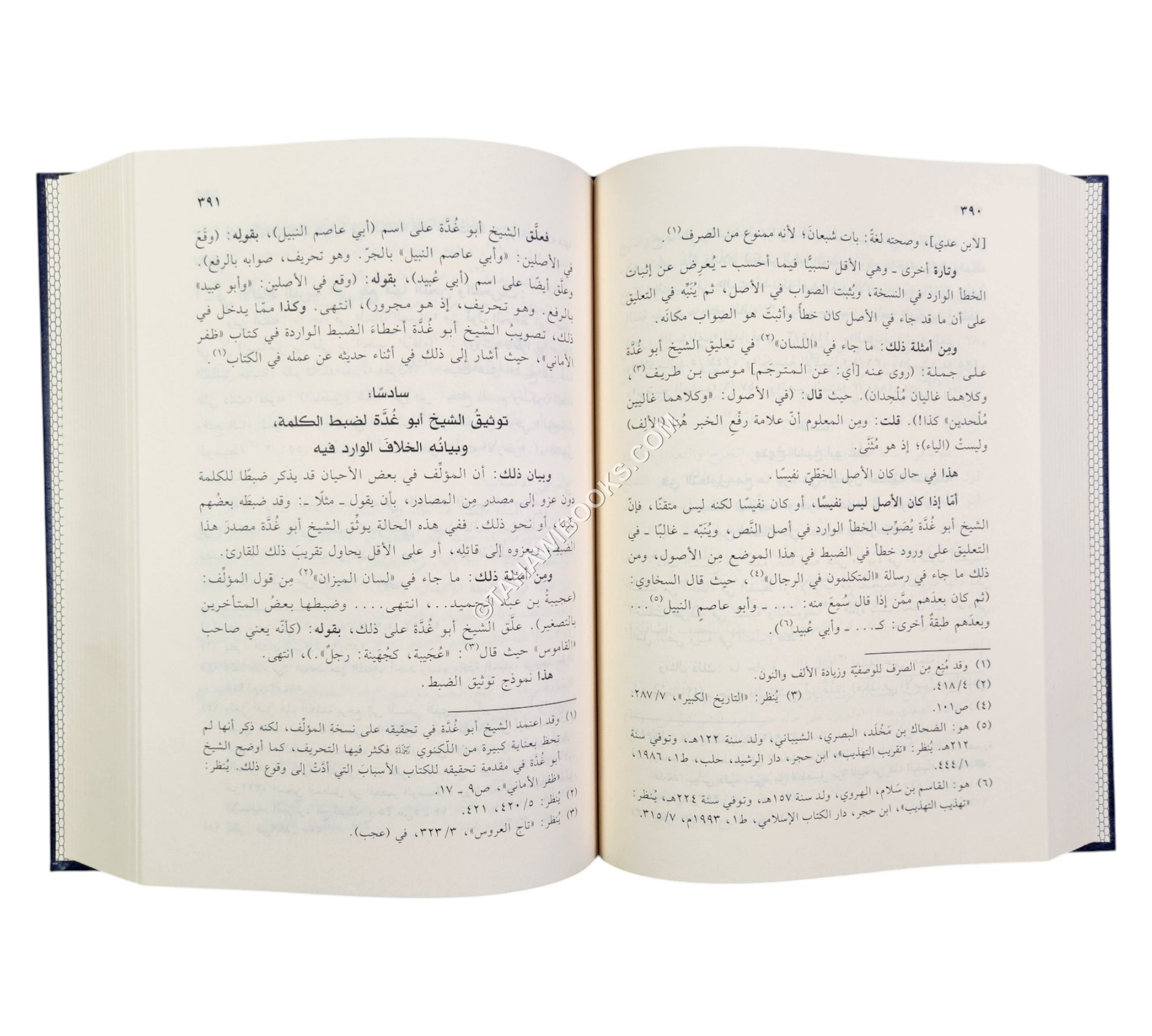 الشيخ عبد الفتاح أبو غدة ومنهجه في تحقيق النصوص ونشرها
