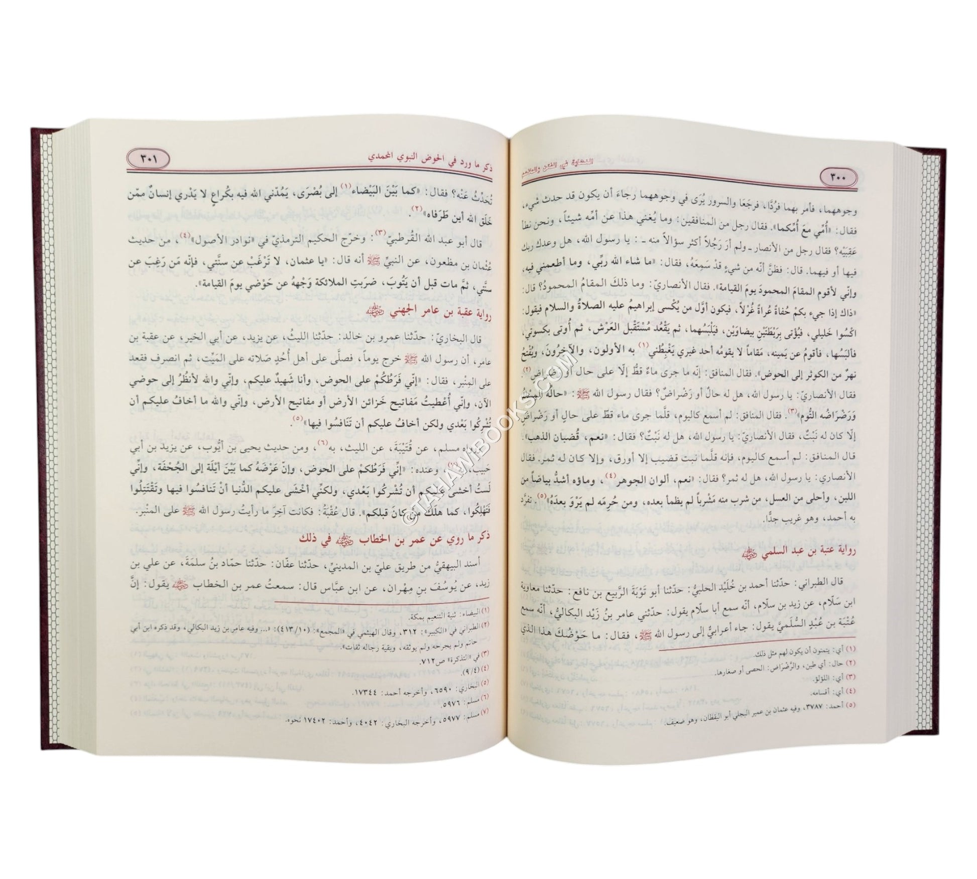 النهاية في الفتن والملاحم-الرسالة ناشرون