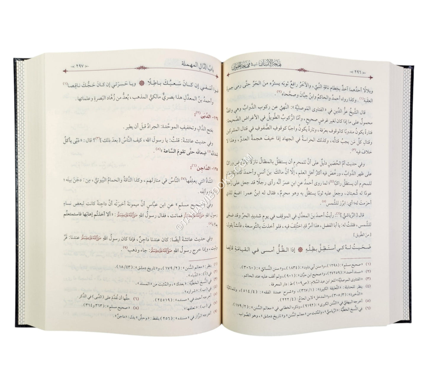 بهجة الانسان في مهجة الحيوان