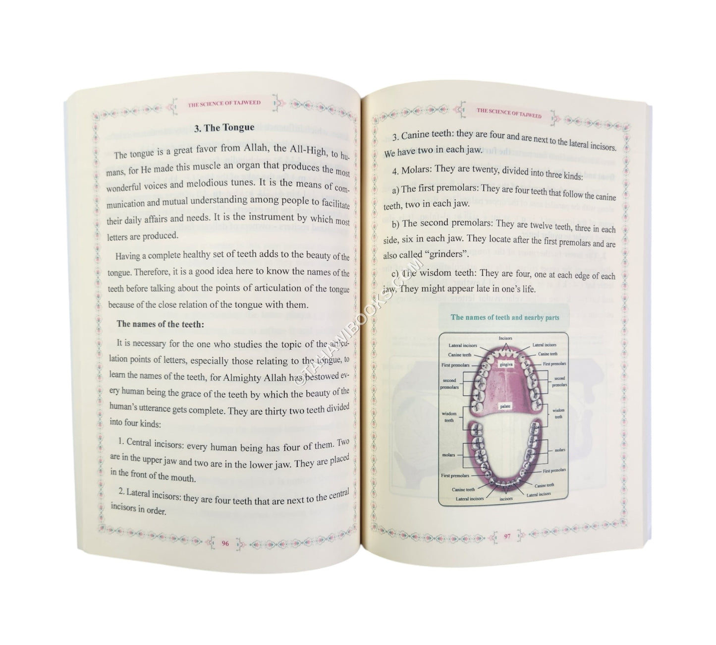 The Science of Recitation: Theoretical Rules and Practical Tips-Level 2