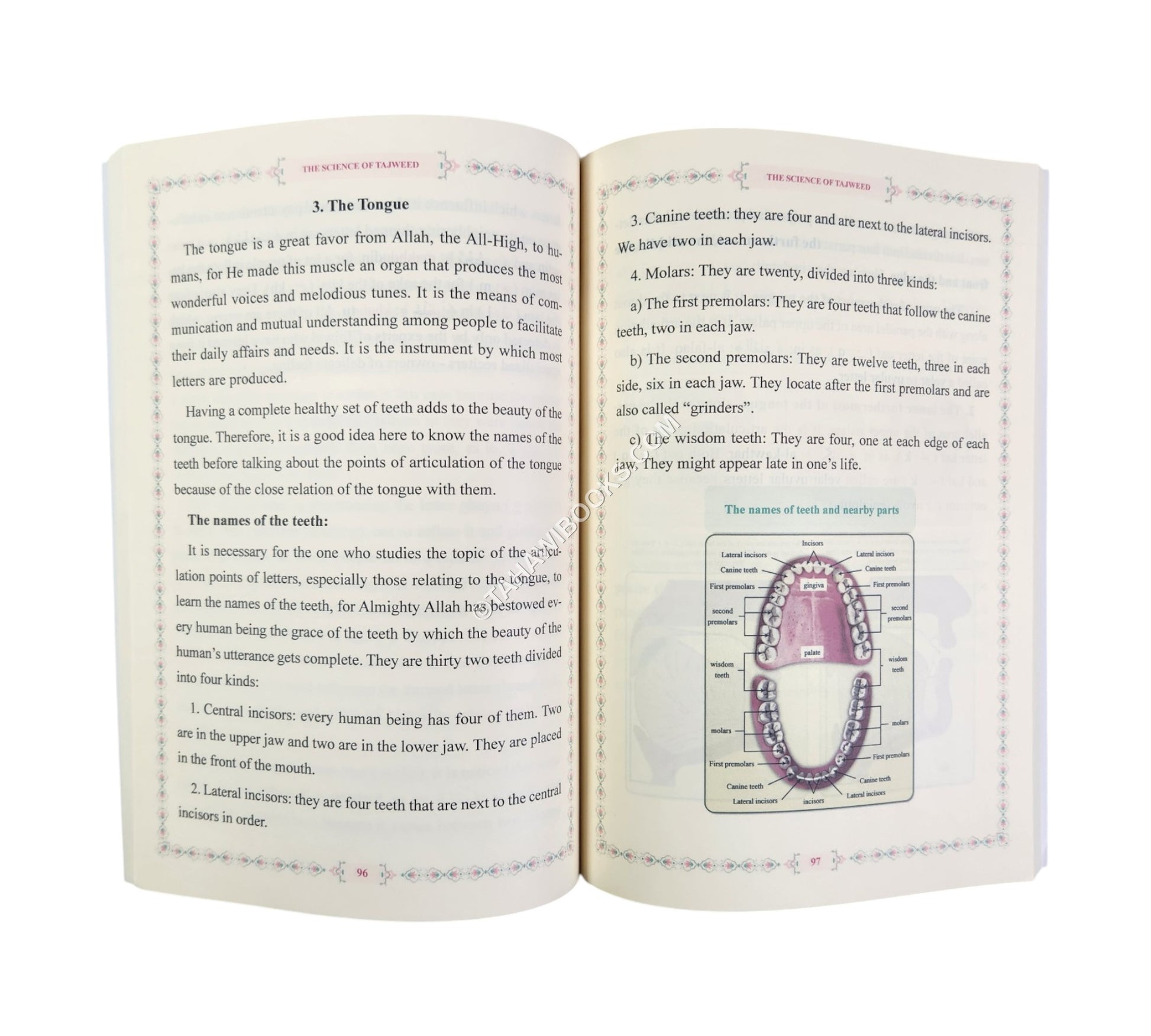 The Science of Recitation: Theoretical Rules and Practical Tips-Level 2