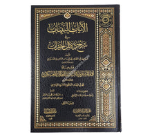 الآيات البينات في شرح دلائل الخيرات