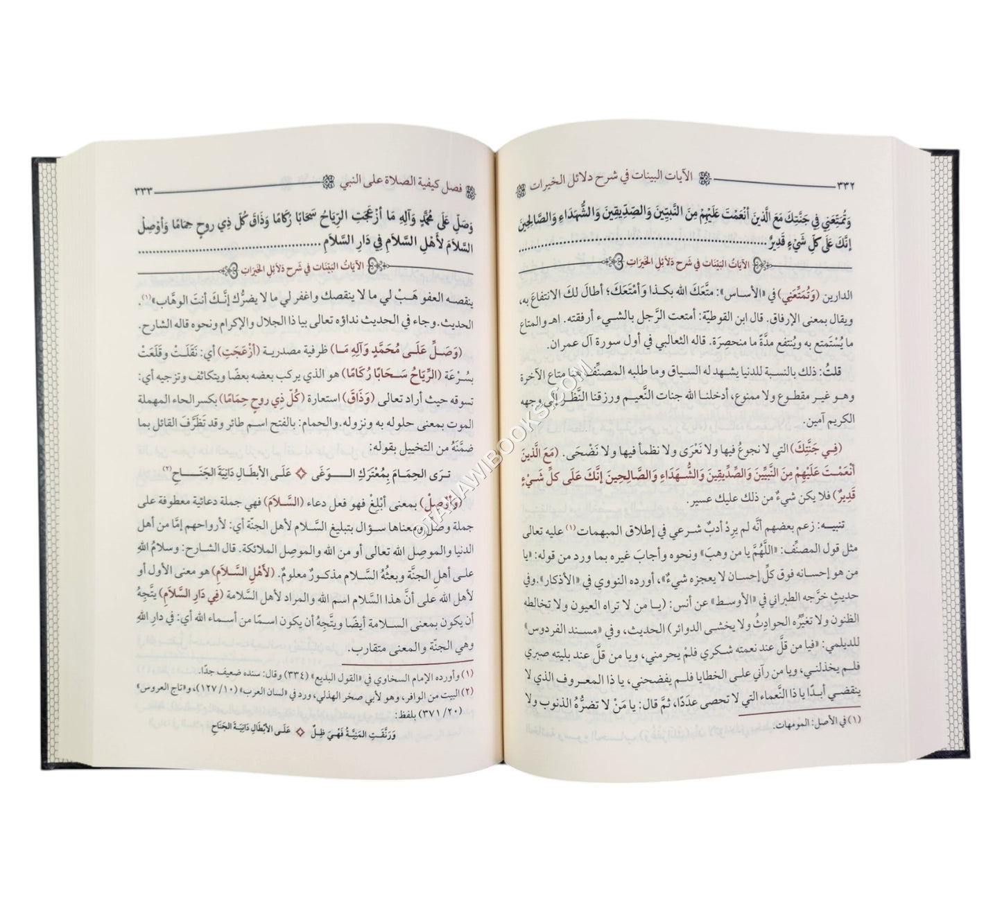 الآيات البينات في شرح دلائل الخيرات