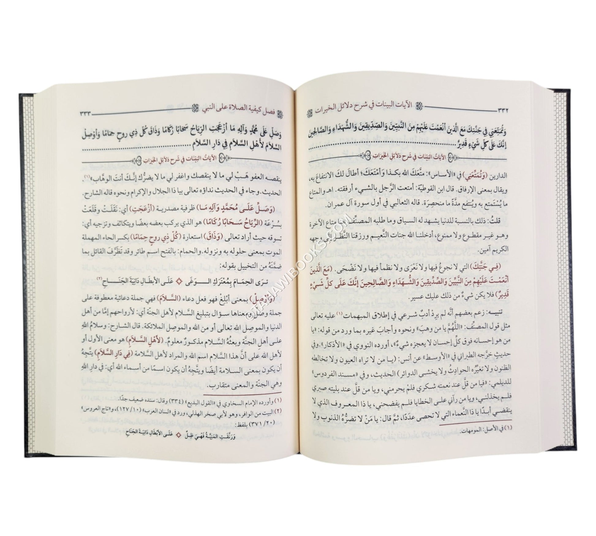 الآيات البينات في شرح دلائل الخيرات