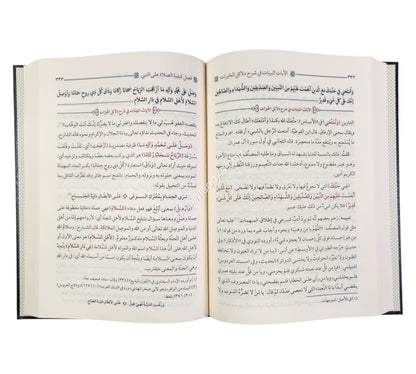 الآيات البينات في شرح دلائل الخيرات