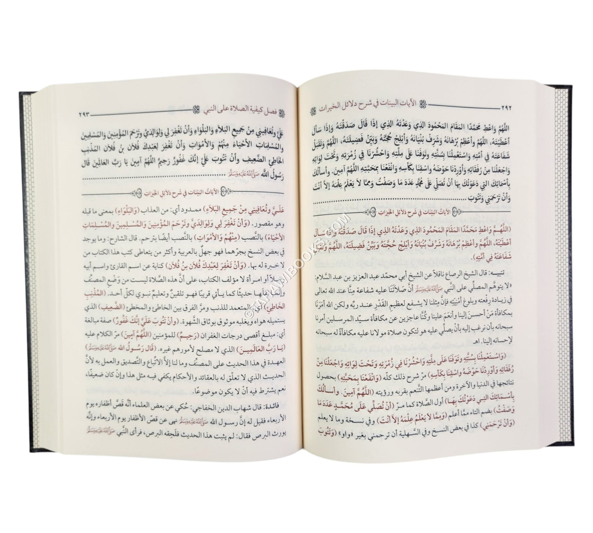 الآيات البينات في شرح دلائل الخيرات