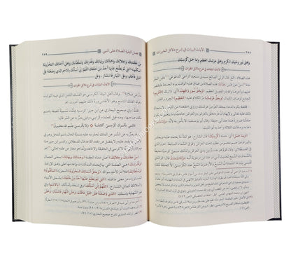 الآيات البينات في شرح دلائل الخيرات