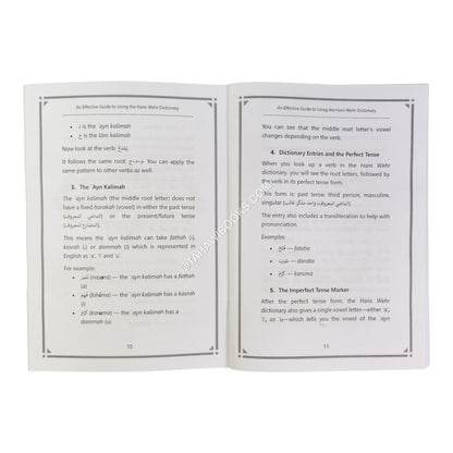 An Effective Guide to Using the Hans Wehr Dictionary