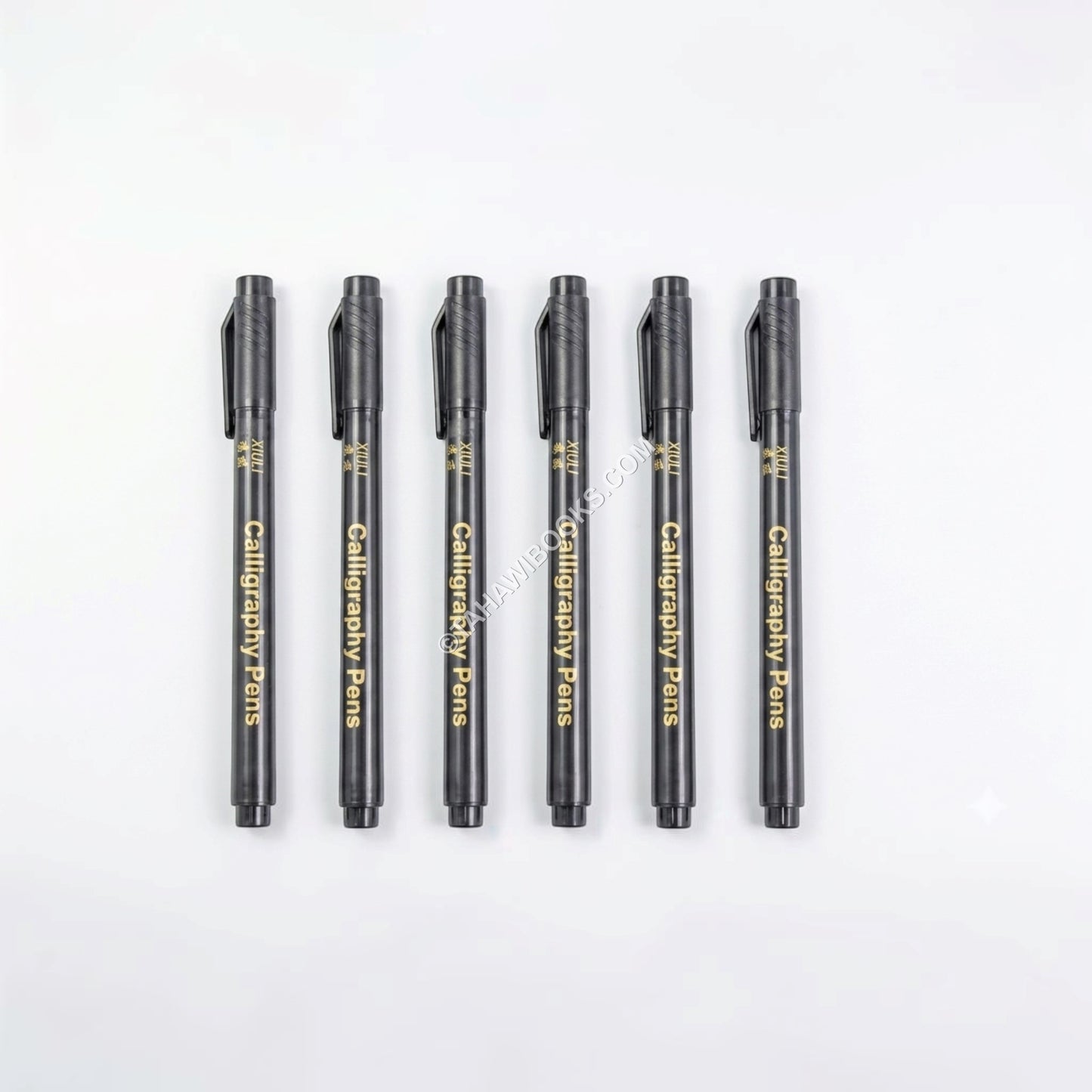 Calligraphy 6pcs Brush Pen Set