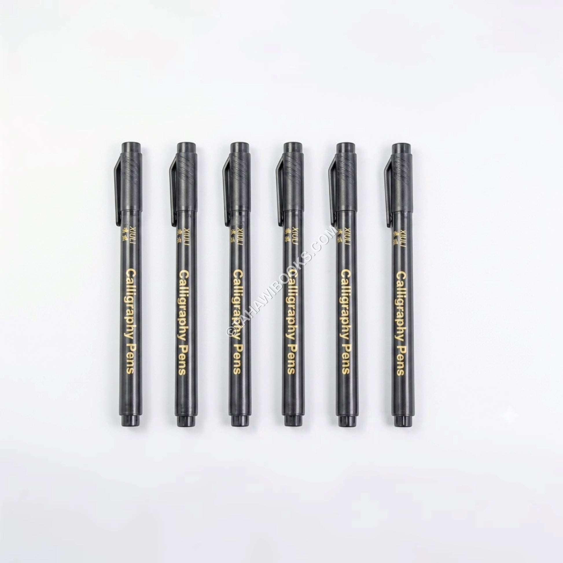 Calligraphy 6pcs Brush Pen Set