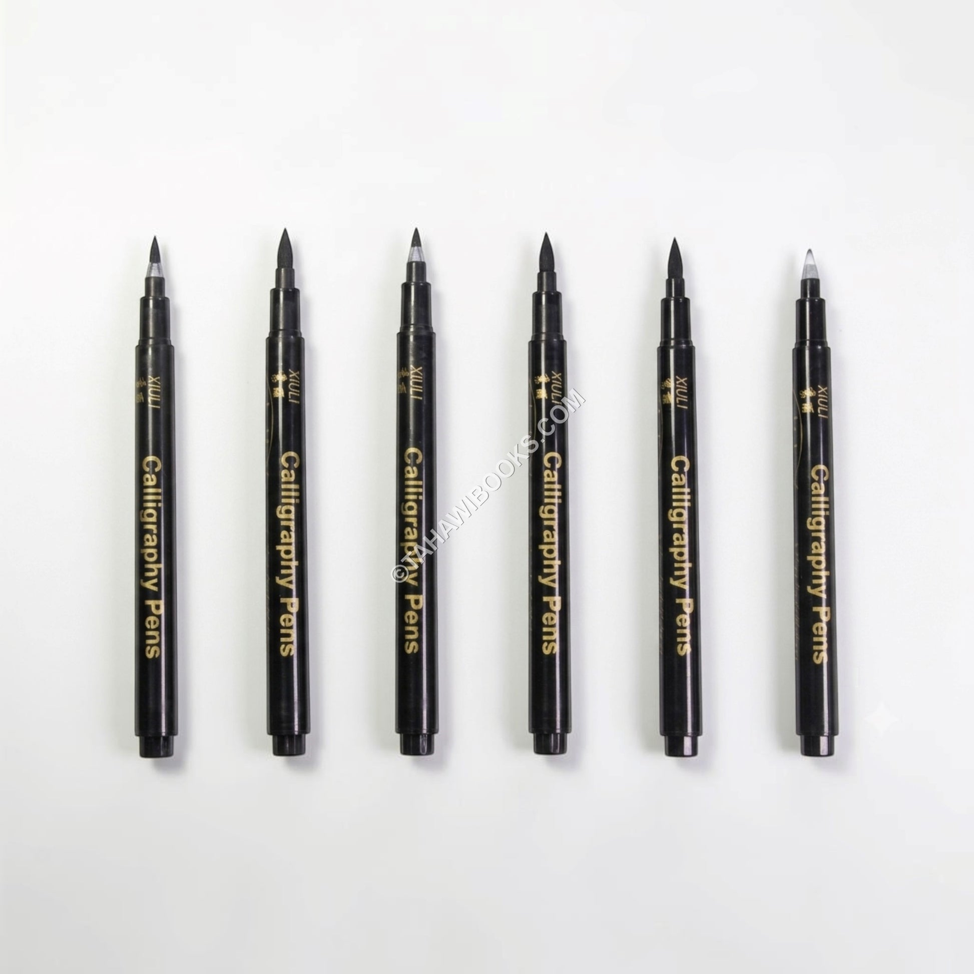 Calligraphy 6pcs Brush Pen Set