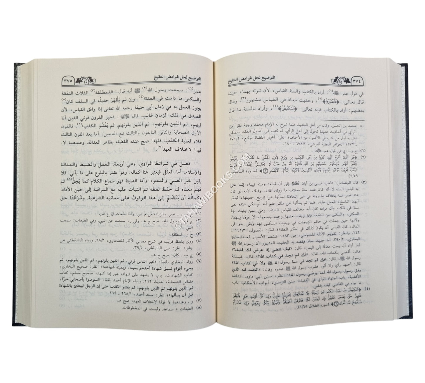 التوضيح لحل غوامض التنقيح