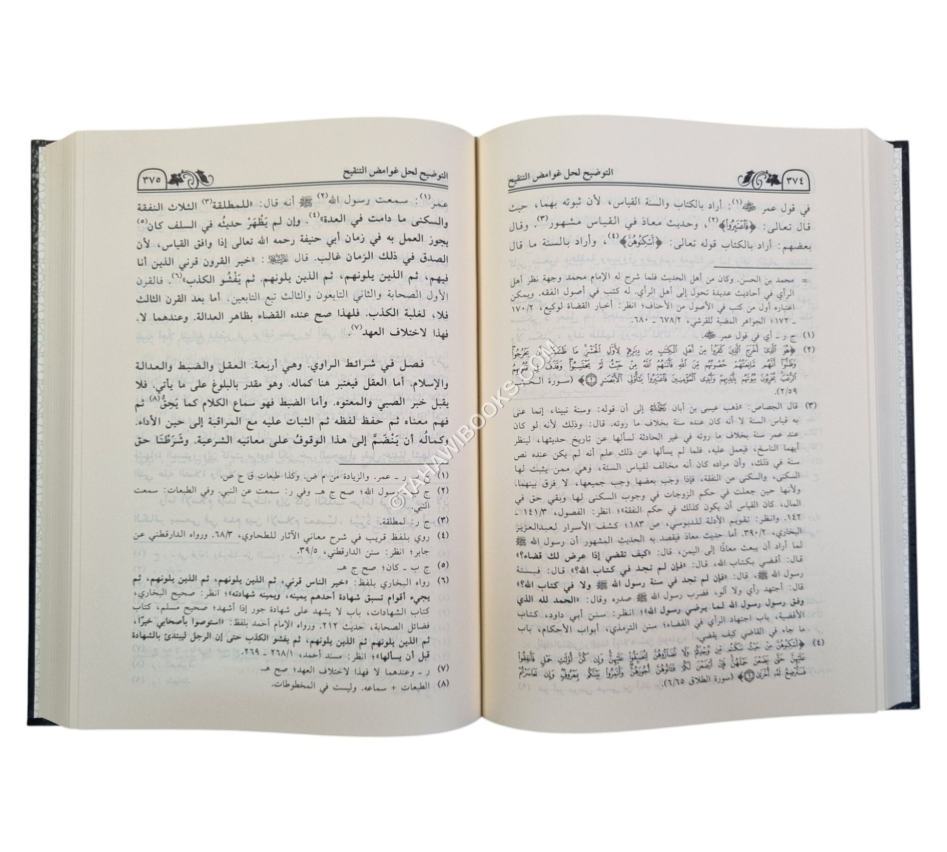 التوضيح لحل غوامض التنقيح