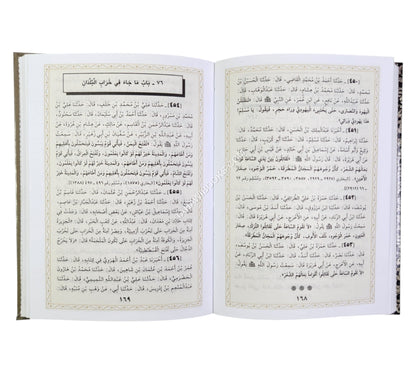 السنن الواردة في الفتن-ابن حزم-وسط