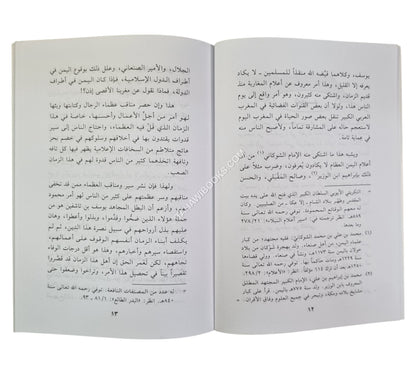 الصفات والخصائص التي أبرزت الإمام المجاهد يوسف بن تاشفين المرابطي
