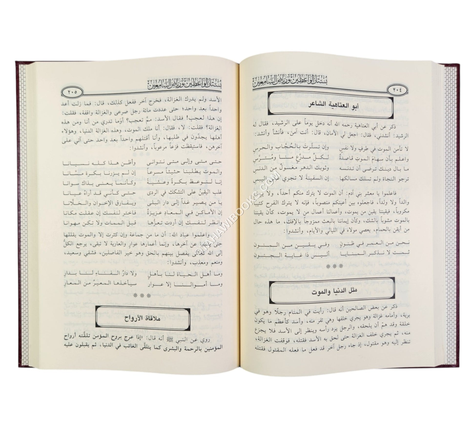 بستان الواعظين ورياض السامعين-ابن حزم