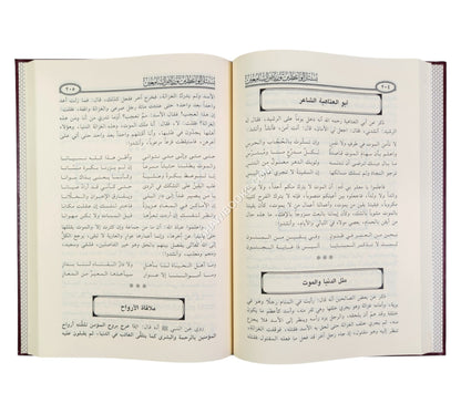 بستان الواعظين ورياض السامعين-ابن حزم