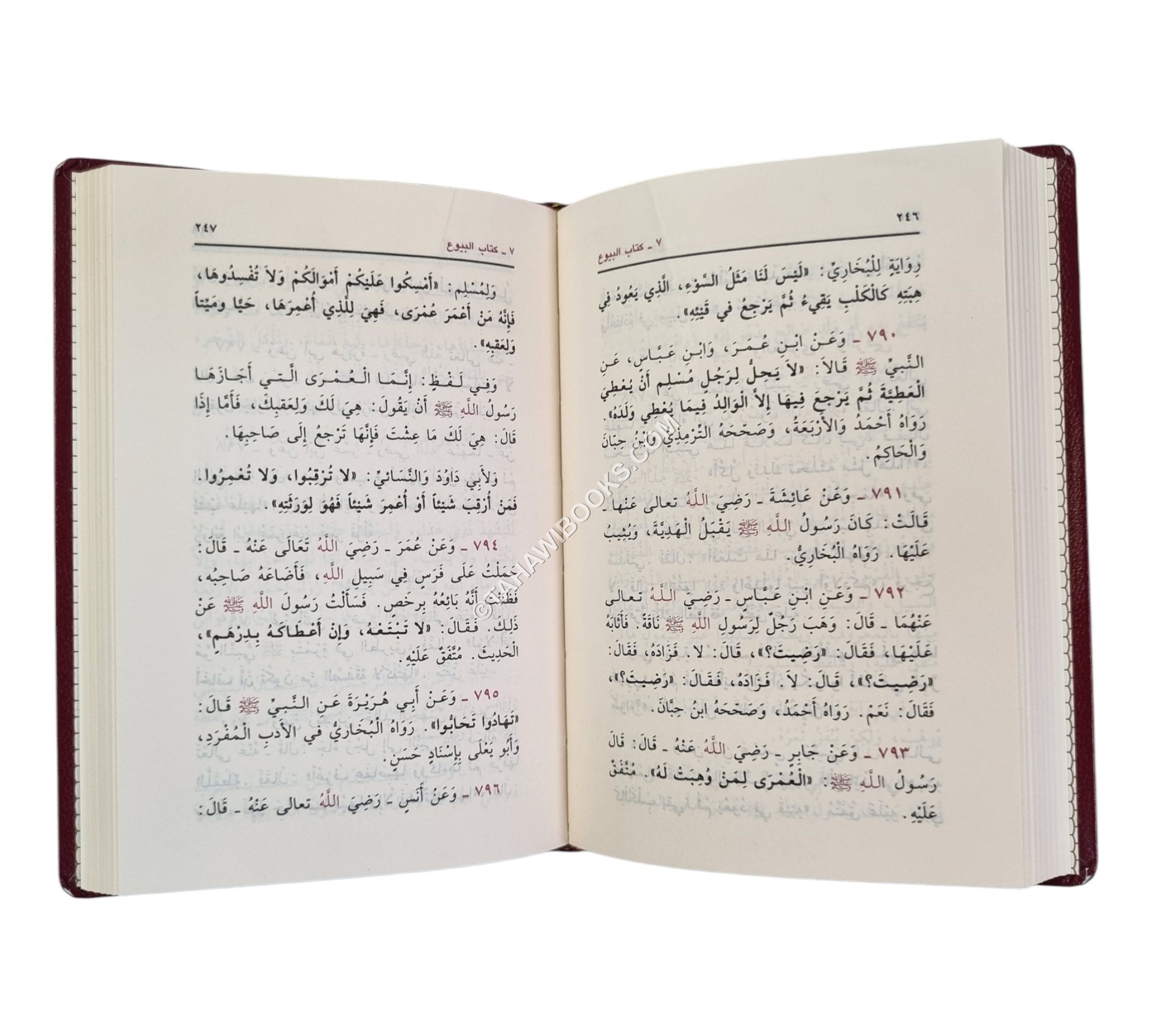 بلوغ المرام من أدلة الأحكام-جيب-ابن حزم