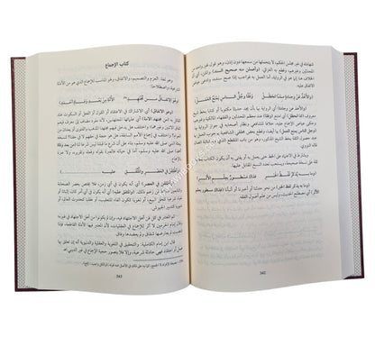 تسهيل الصعود إلى مراقي السعود:الشرح الصغير على المراقي