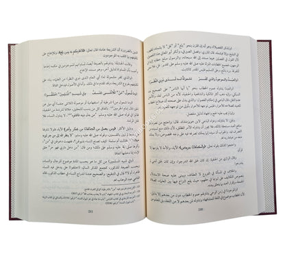 تسهيل الصعود إلى مراقي السعود:الشرح الصغير على المراقي