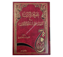 جواهر الأدب في أدبيات وإنشاء لغة العرب-ابن حزم