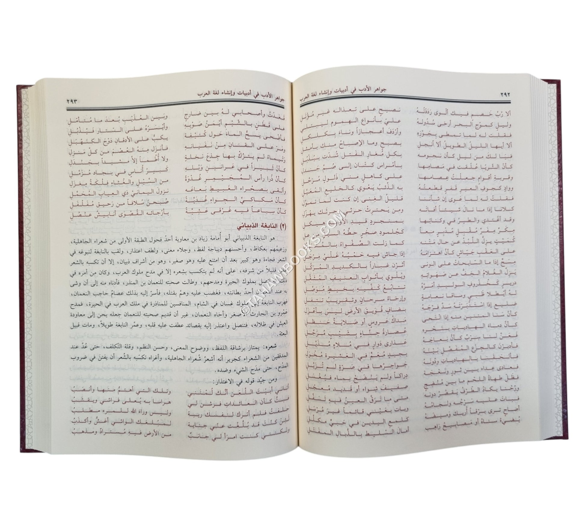 جواهر الأدب في أدبيات وإنشاء لغة العرب-ابن حزم