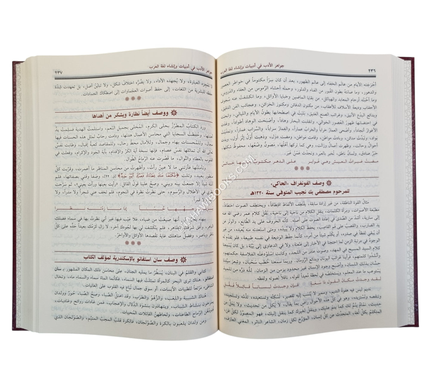جواهر الأدب في أدبيات وإنشاء لغة العرب-ابن حزم