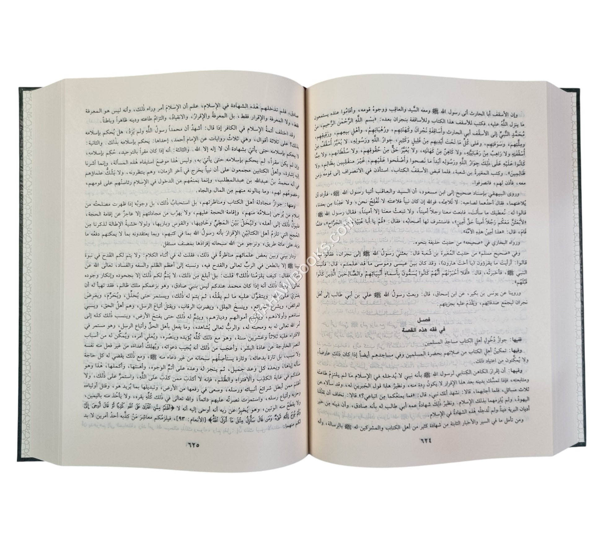 زاد المعاد في هدي خير العباد-ابن حزم
