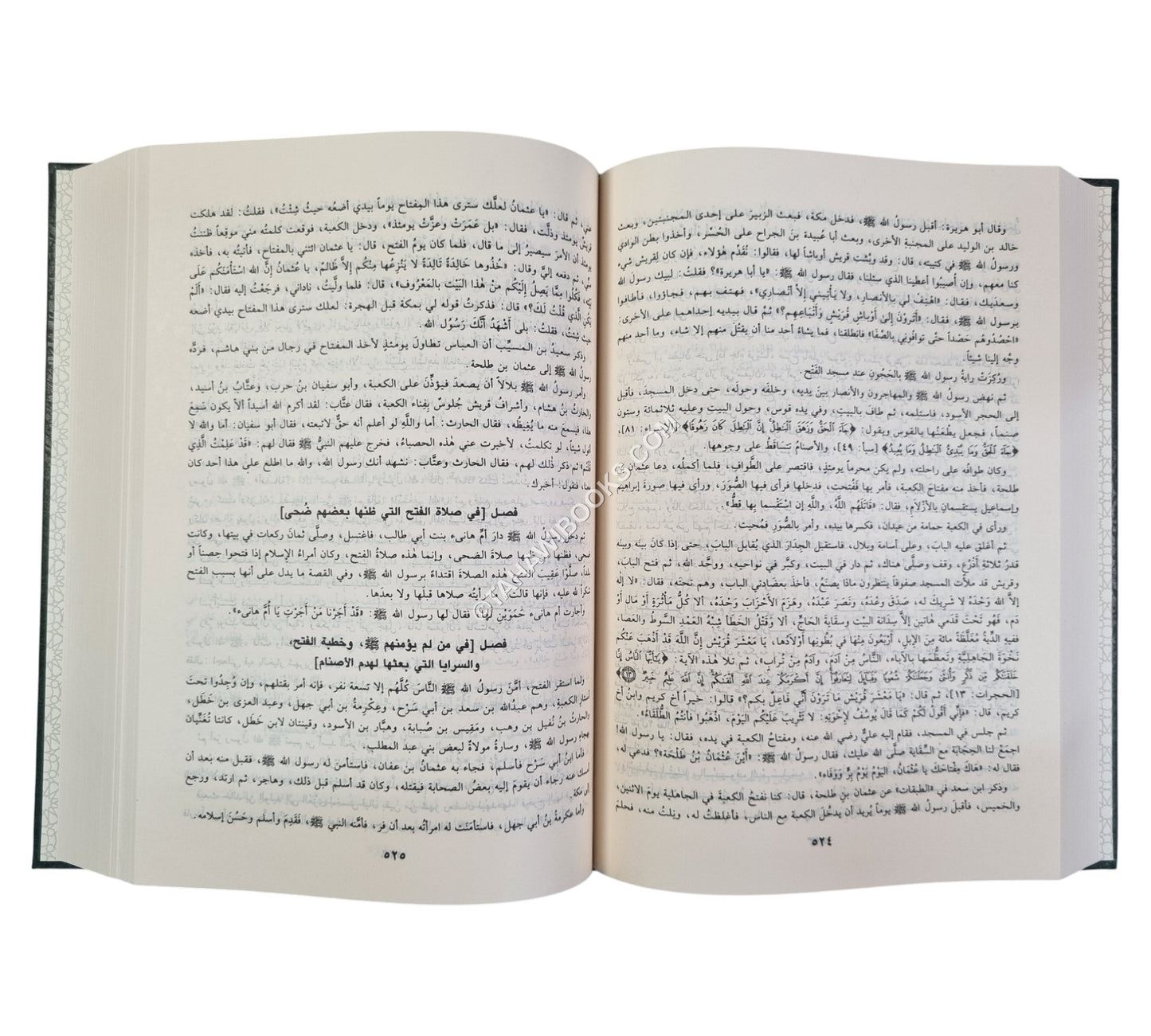 زاد المعاد في هدي خير العباد-ابن حزم