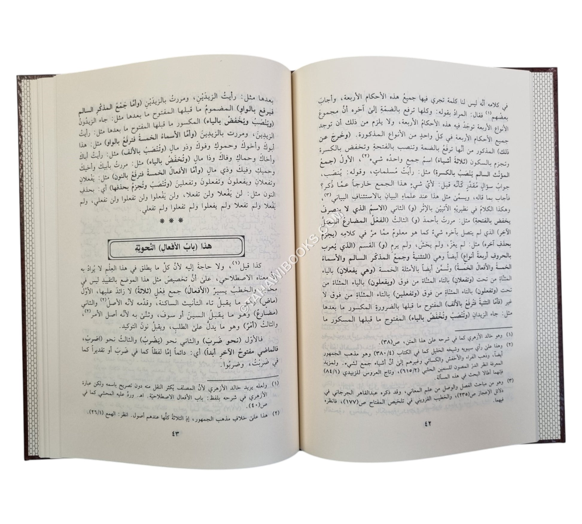 شرح الأجرومية للإسفراييني-ابن حزم