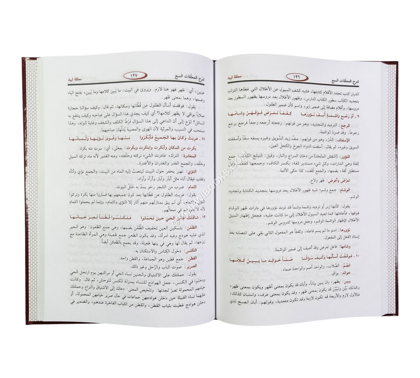 شرح المعلقات السبع للزوزني-ابن حزم