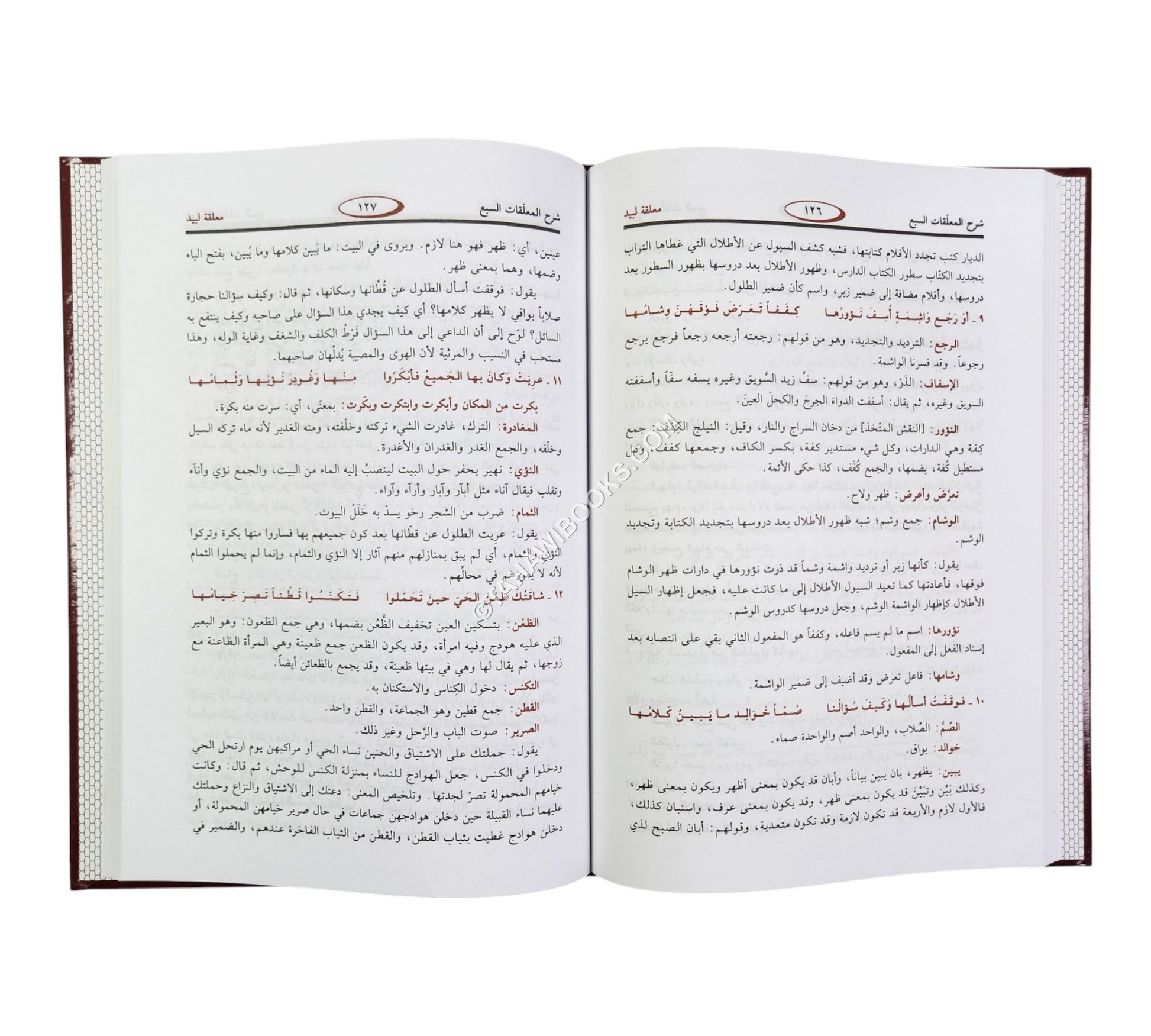 شرح المعلقات السبع للزوزني-ابن حزم