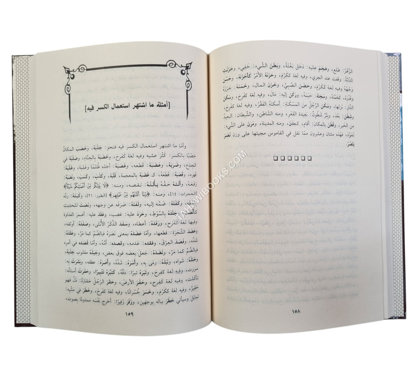 فتح الأقفال وحل الإشكال بشرح لامية الأفعال المشهور بالشرح الكبير-ابن حزم