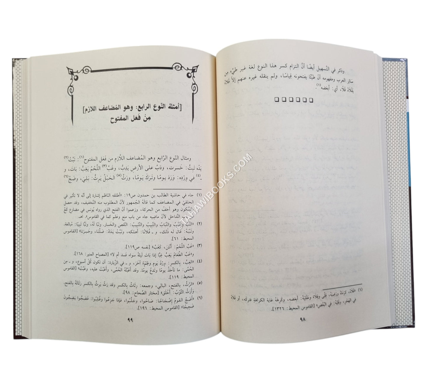 فتح الأقفال وحل الإشكال بشرح لامية الأفعال المشهور بالشرح الكبير-ابن حزم