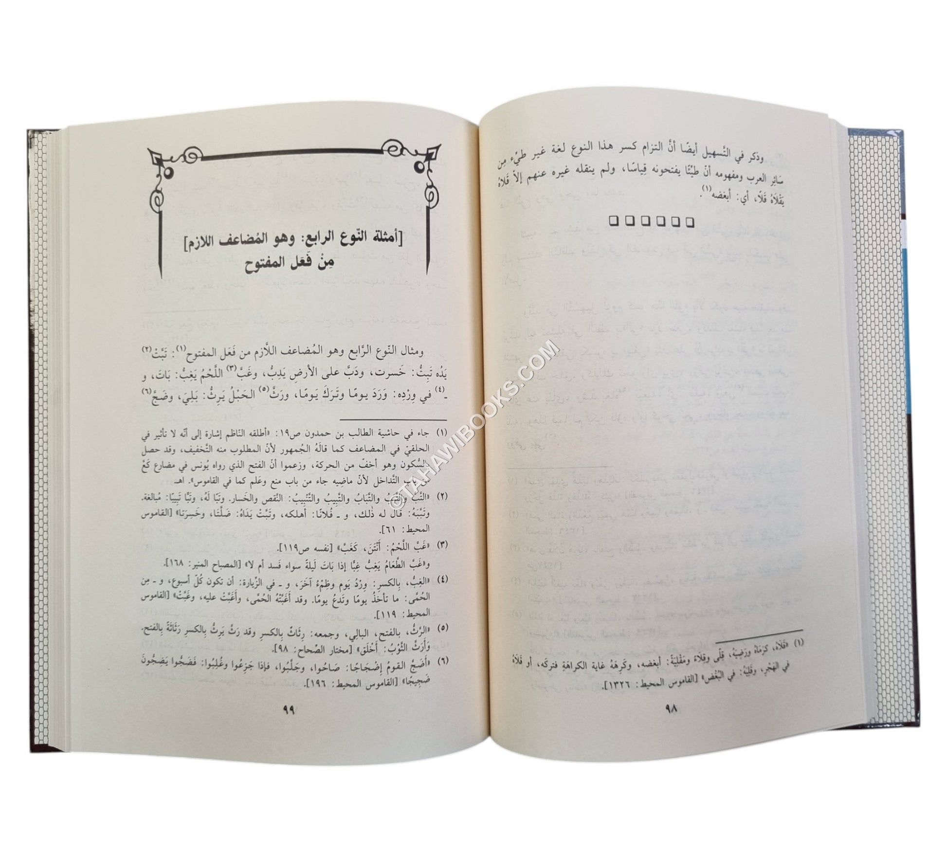 فتح الأقفال وحل الإشكال بشرح لامية الأفعال المشهور بالشرح الكبير-ابن حزم