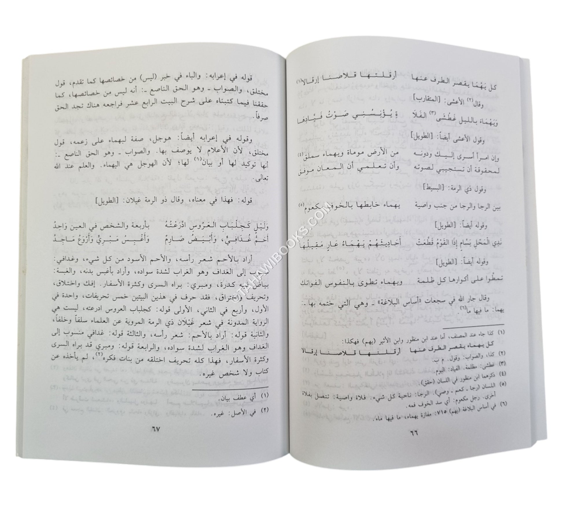 كتاب إحقاق الحق وتبريء العرب مما أحدثه عاكش اليمني في لغتهم ولامية العرب