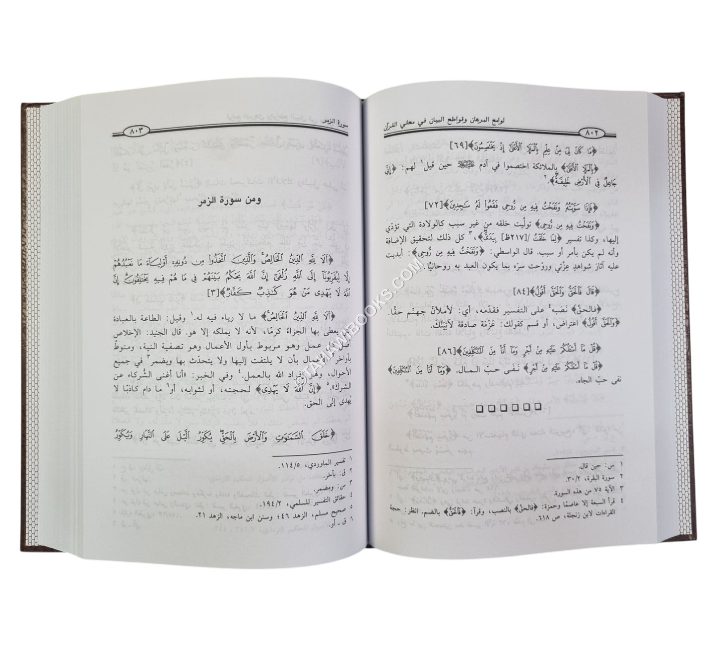 لوامع البرهان وقواطع البيان في معاني القرآن