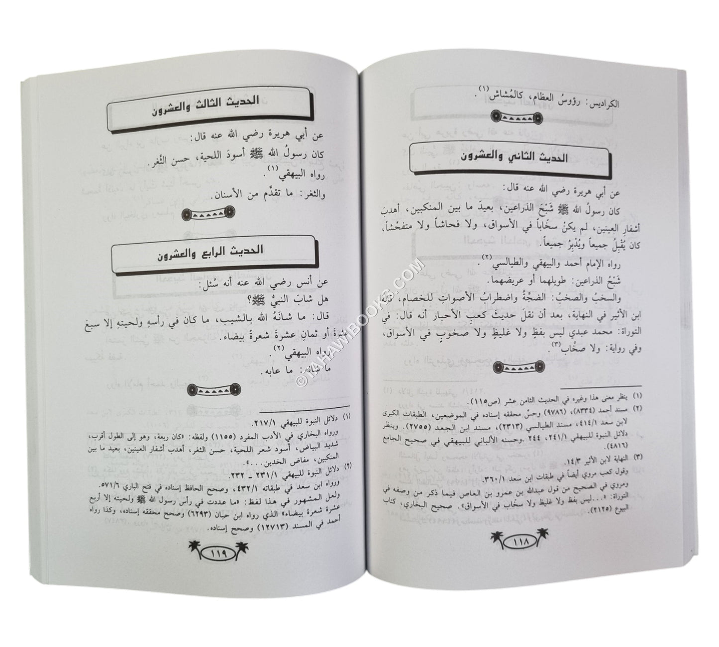 مجموع أربعينات في فضائل رسول الله