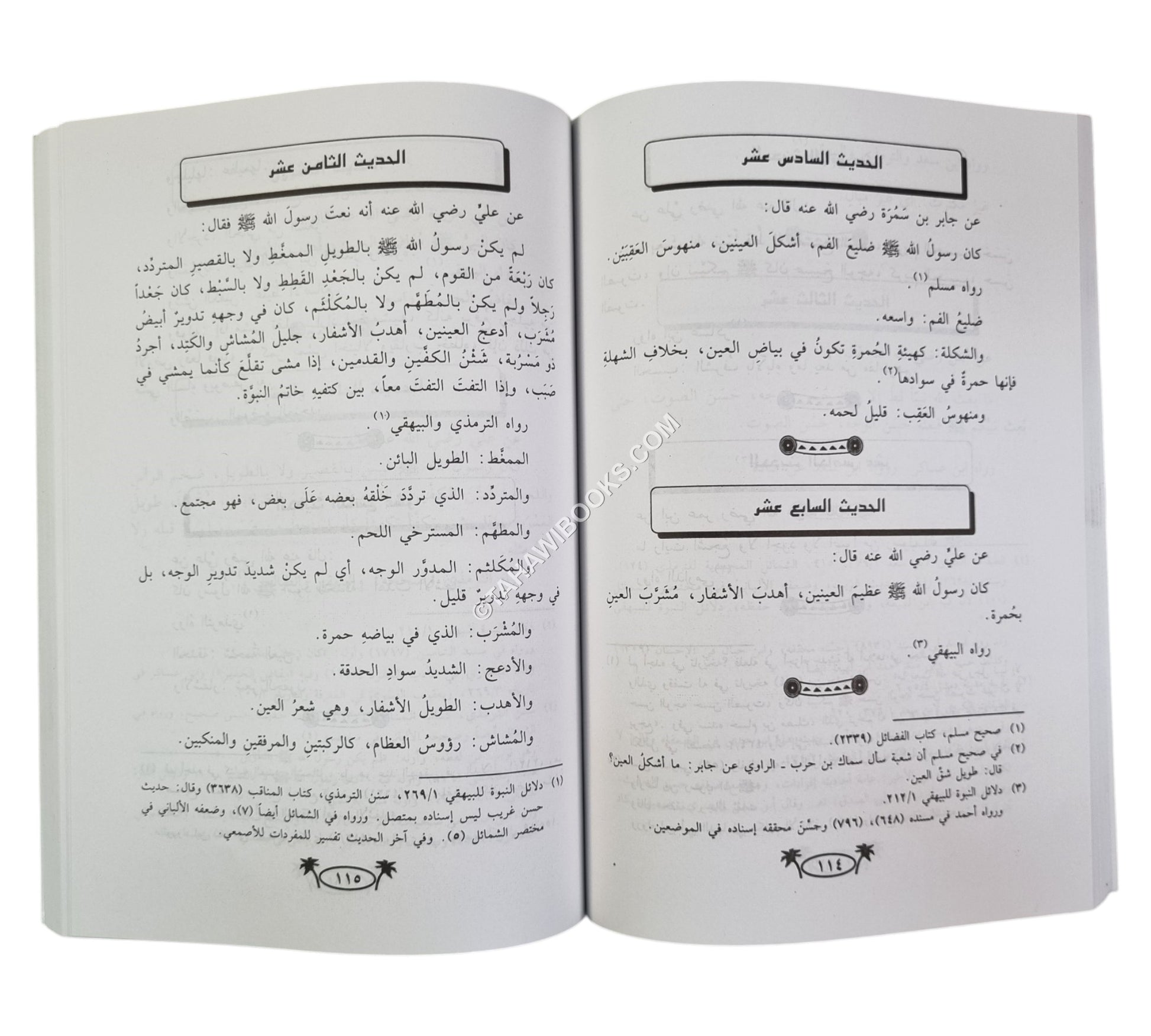 مجموع أربعينات في فضائل رسول الله