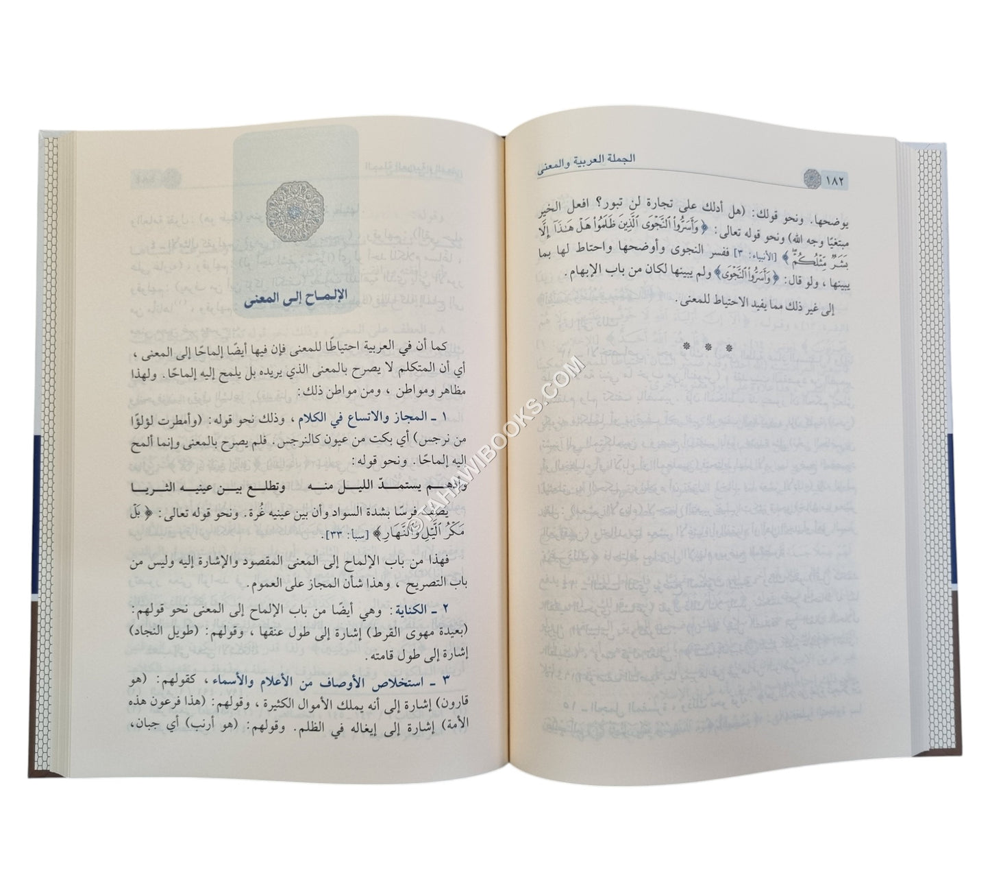 الجملة العربية والمعنى