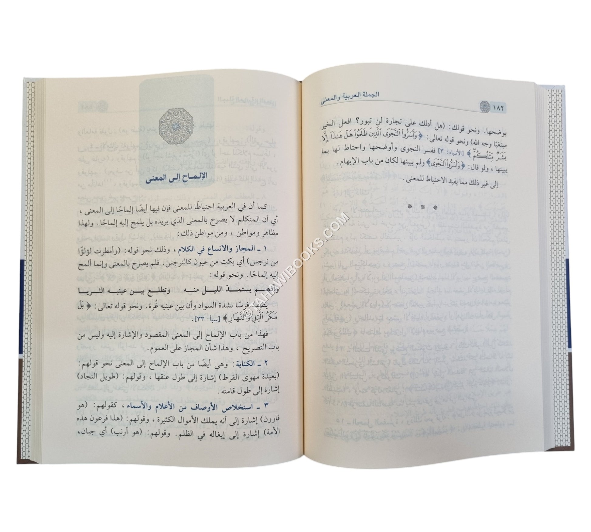 الجملة العربية والمعنى