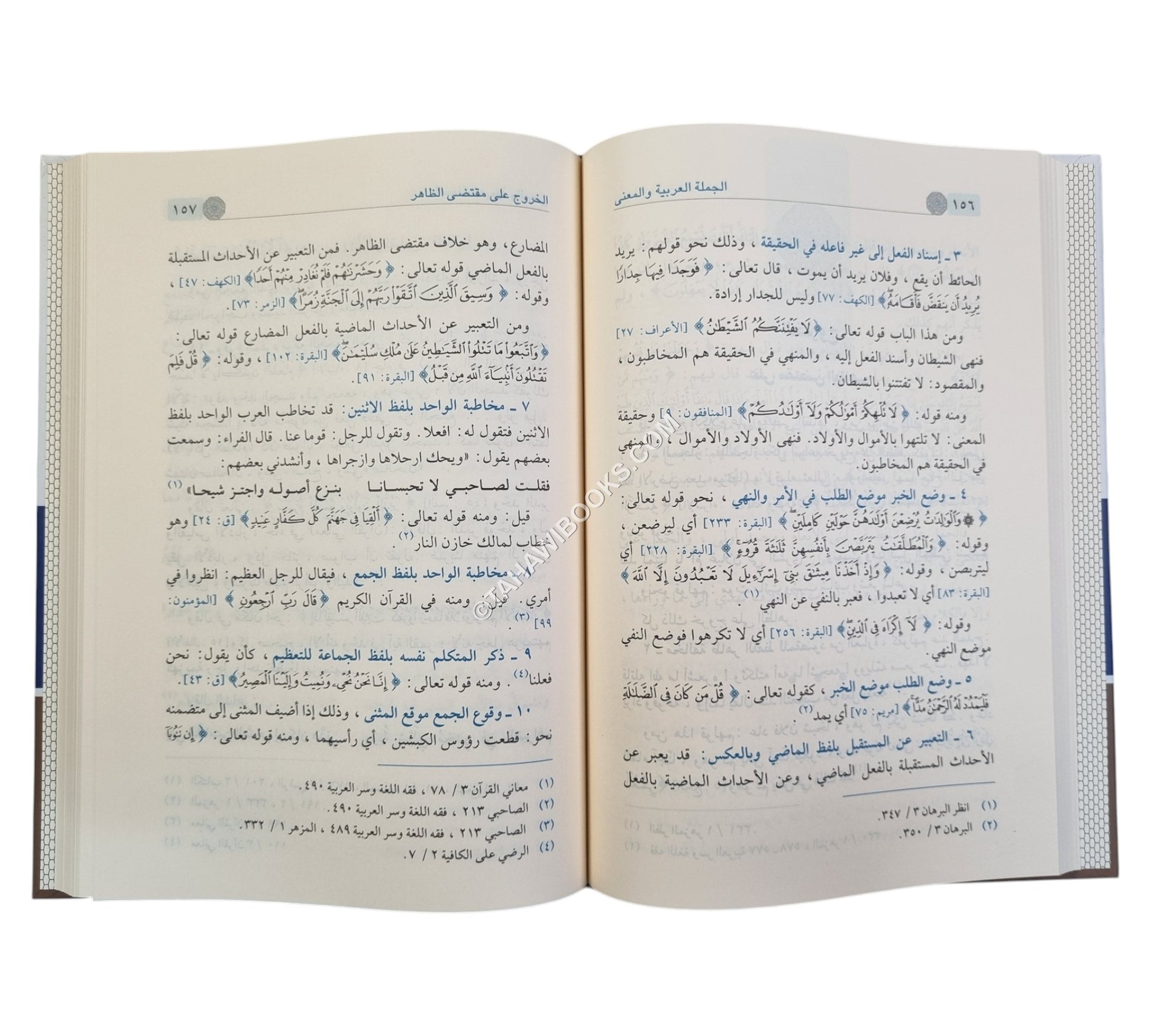 الجملة العربية والمعنى
