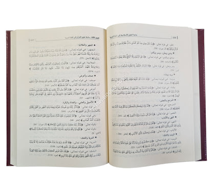 حاجة العلوم الإسلامية إلى اللغة