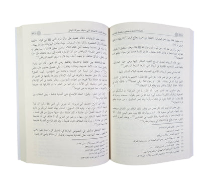 حقيقة الخلاف بين الصحابة في معركتي الجمل وصفين وقضية التحكيم-ابن كثير