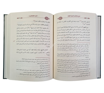 شرح مختصر أصول الفقه
