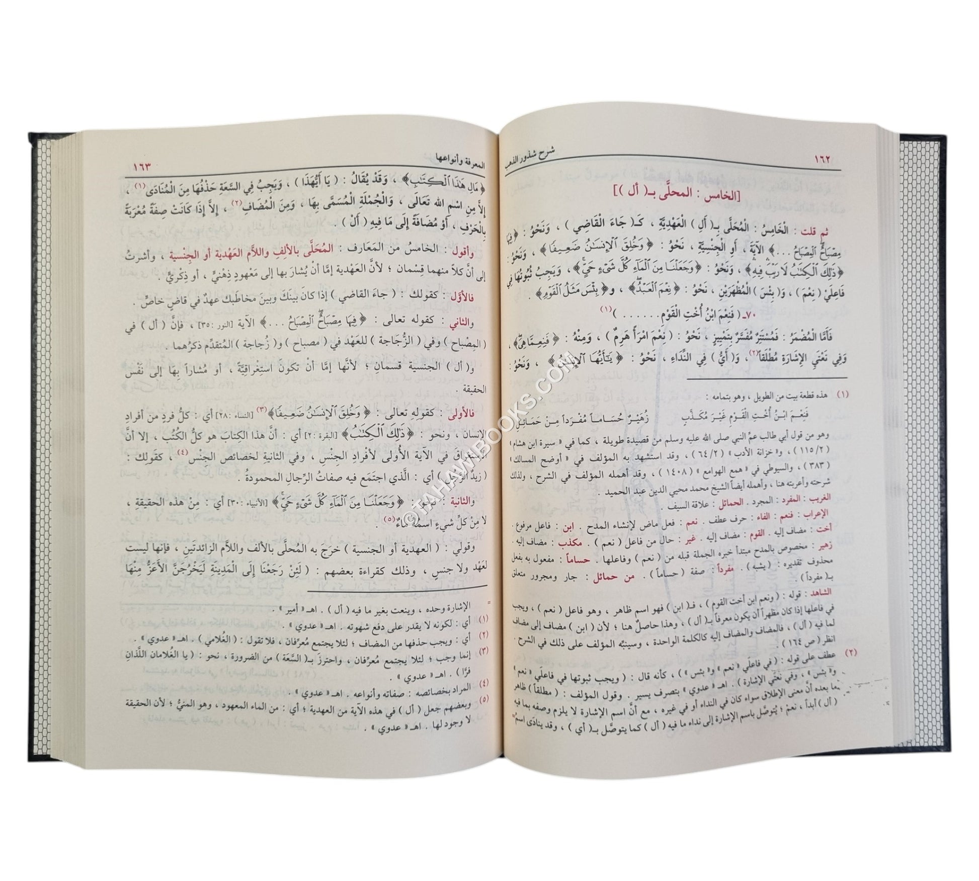 شرح شذور الذهب مع تعليقات منتقاة من محمد محي الدين عبد الحميد-الدقاق
