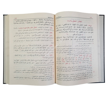 شرح شذور الذهب مع تعليقات منتقاة من محمد محي الدين عبد الحميد-الدقاق