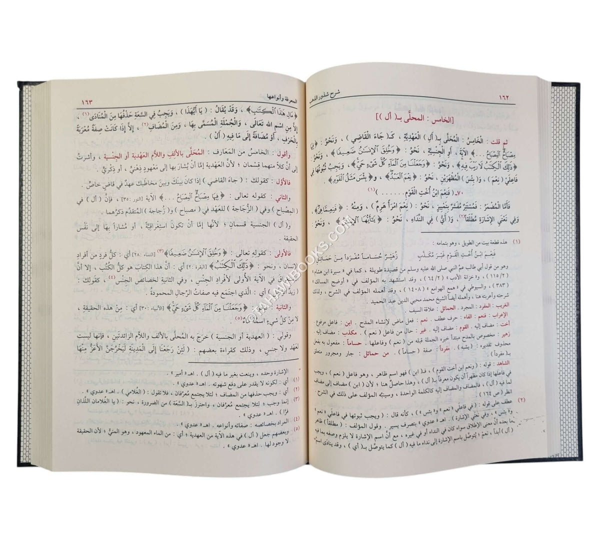 شرح شذور الذهب مع تعليقات منتقاة من محمد محي الدين عبد الحميد-الدقاق