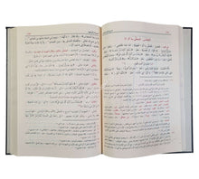 شرح شذور الذهب مع تعليقات منتقاة من محمد محي الدين عبد الحميد-الدقاق