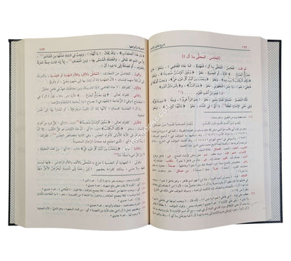 شرح شذور الذهب مع تعليقات منتقاة من محمد محي الدين عبد الحميد-الدقاق